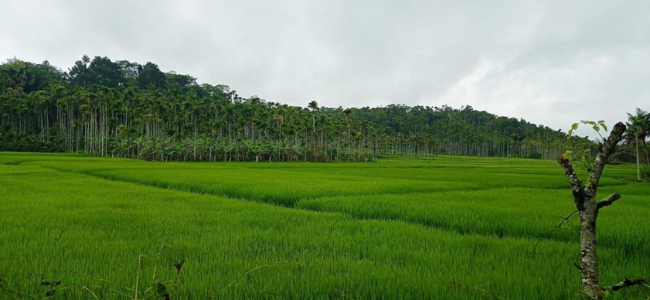 Kuruva Shoreline Wayanad Chegāt 외부 사진