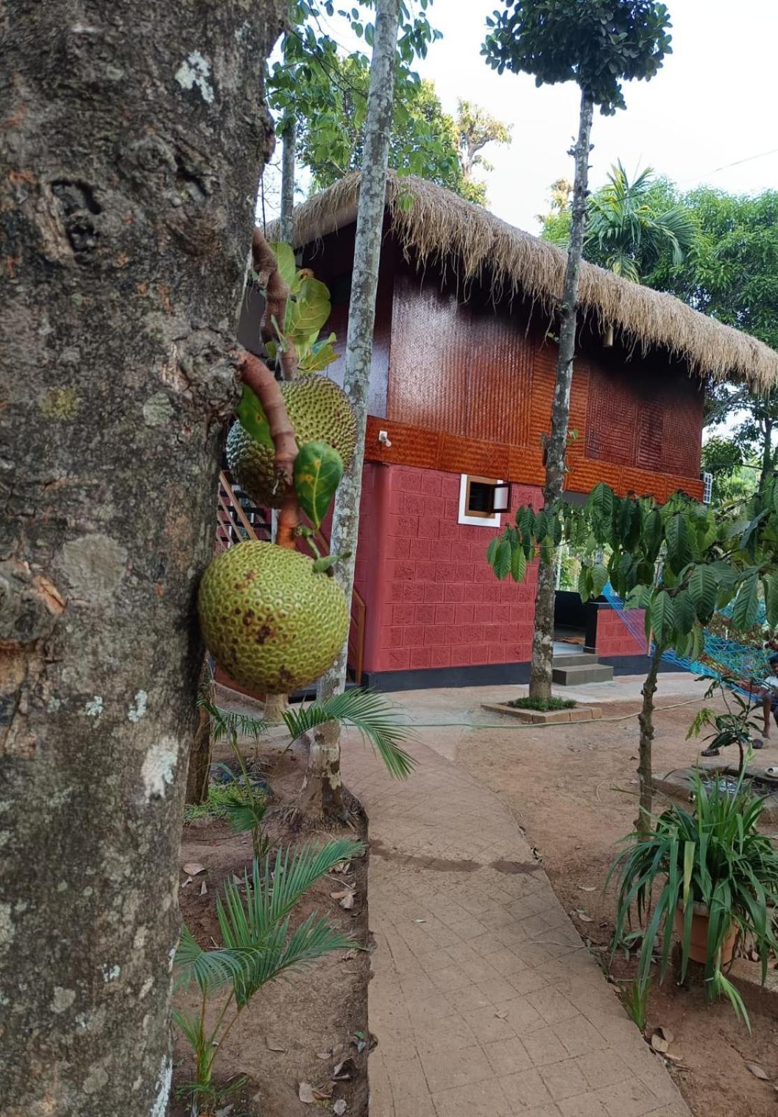 Kuruva Shoreline Wayanad Chegāt 외부 사진