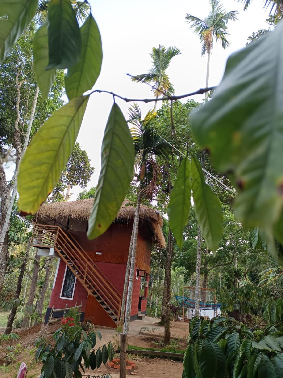 Kuruva Shoreline Wayanad Chegāt 외부 사진